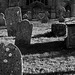 Beaminster churchyard