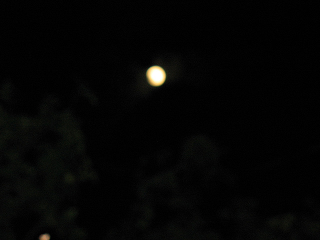 Moon - Canon PowerShot 630 - flash used - 009