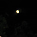 Moon - Canon PowerShot 630 - flash used - 009