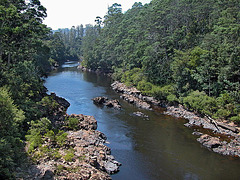 Arthur River