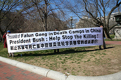 01.FalunGong.DeathCamps.China.LafayettePark.WDC.19March2006