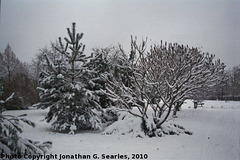 Snow in Haje, Edited Version, Prague, CZ, 2010