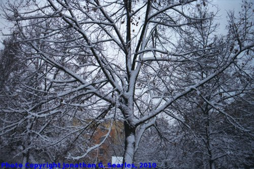 Snow in Haje, Picture 4, Edited Version, Prague, CZ, 2010