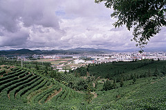 Tea fields over Pu'er town