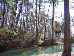Near the Waterwheel on Berry College Campus - Rome GA ..Picture 1300