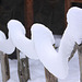 20101220 9078Aw [D~LIP] Schnee-Schlange