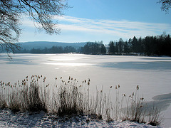 Winteridylle - Illmensee 2011