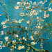 Almond-Branches-in-Bloom-San-Remy-c-1890-Van gogh