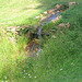 Waterfall from pond to pond