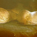 pains cuits au four à bois