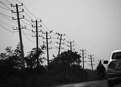 Wires and poles