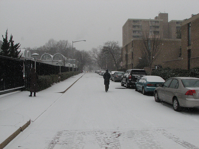 01.Snow.SW.WDC.16December2010
