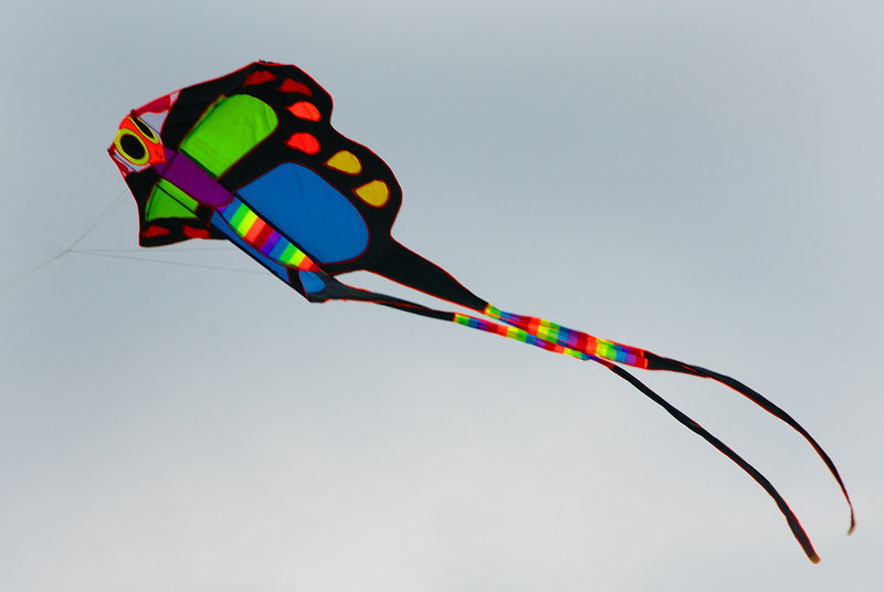 A kite flying over the Namsan Park in Xining