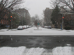 05.Snow.SW.WDC.16December2010