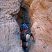 Ladder Canyon (6273)