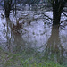 Elbehochwasser vom 15.1.-19.1.2011