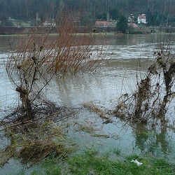 Elbehochwasser vom 15.1.-19.1.2011