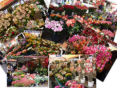 Marché aux fleurs à Nice