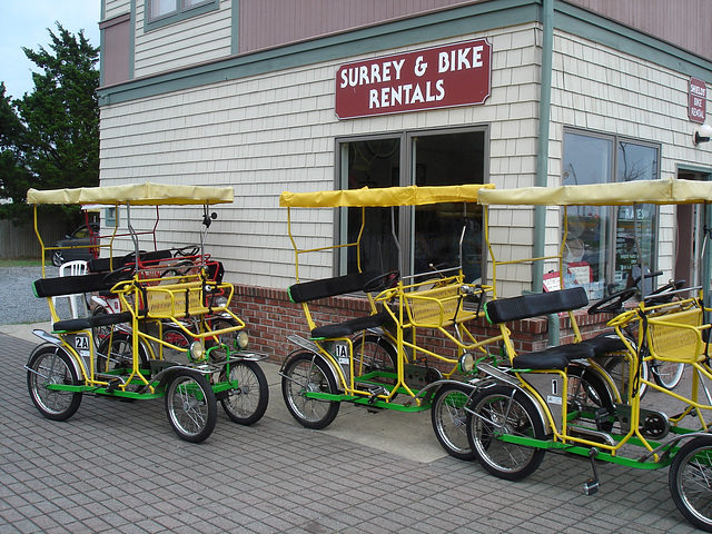 Shield's bike rentals