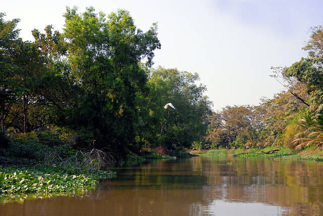Khlong Si the side canal of Khlong Saen Saeb