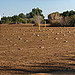 John Doe Graveyard Panorama