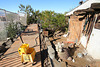 Cabot's Pueblo Museum - Post Flood December 2010 (8664)