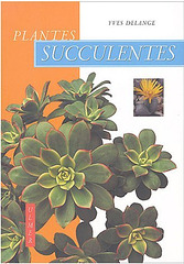 plantes succulentes