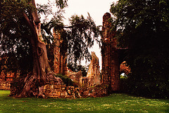 bayham abbey east end 1260
