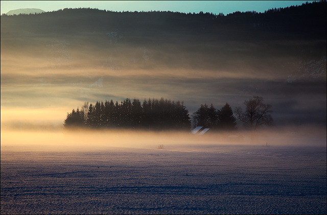 soft_morning_fog