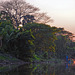 Khlong Saen Saeb in the evening light