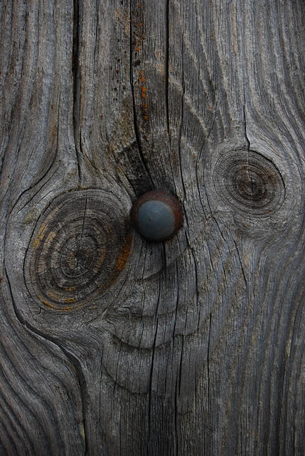 Portrait d' E.T. sur bois .