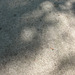 Sidewalk and shadows..