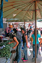 Raw and green mangos sold at the market