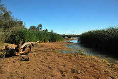 Muloorina desert waterhole