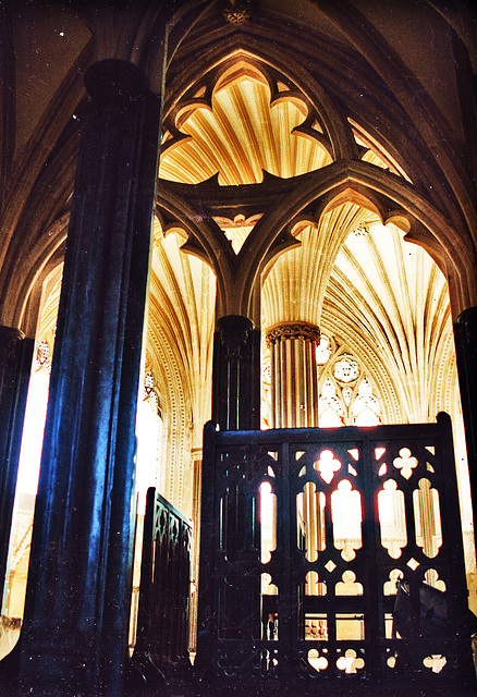 wells 1286 view into chapter house