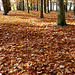 Herbst - aŭtuno - automne -