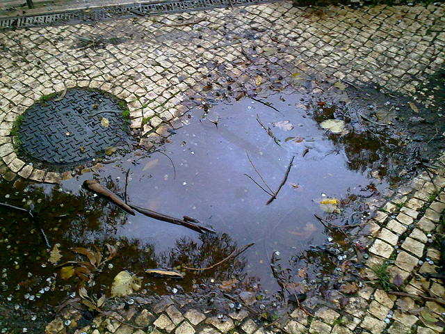 Benfica, small quarter garden, sewage system