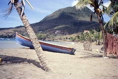 plage de la Martinique