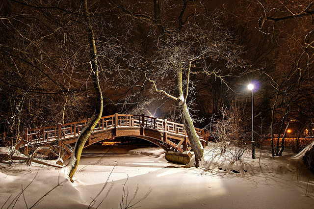 Brücke im Johannapark