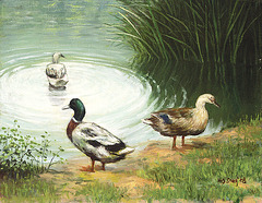 물새가 있는 풍경遊鳥池, 油彩 Sceno kun Akvaj Birdoj=a Scene with Water Birds, olee sur tolo=oil on canvas, 41x53cm(10p), 2008
