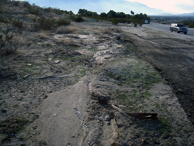 Miracle Hill & Two Bunch Palms Trail - repairs (6194)