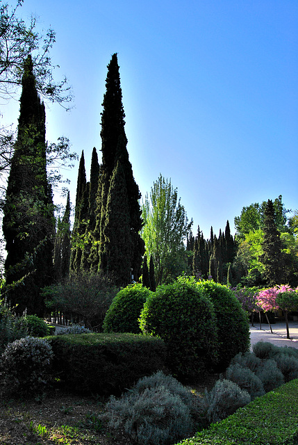 En torno a los bosques de la Alhambra