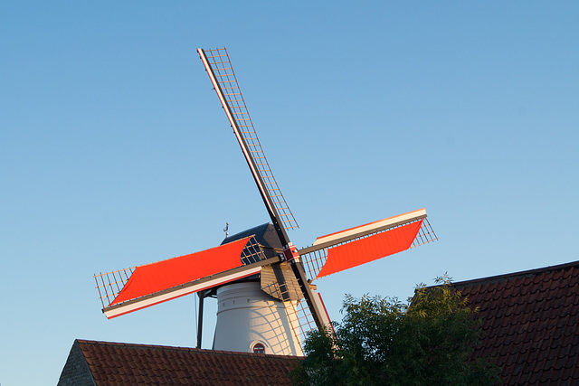 Windmühle Ramskapelle DSC06668