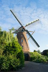 Windmühle Biervliet DSC01473