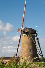 Windmühle Zuidzande DSC06635