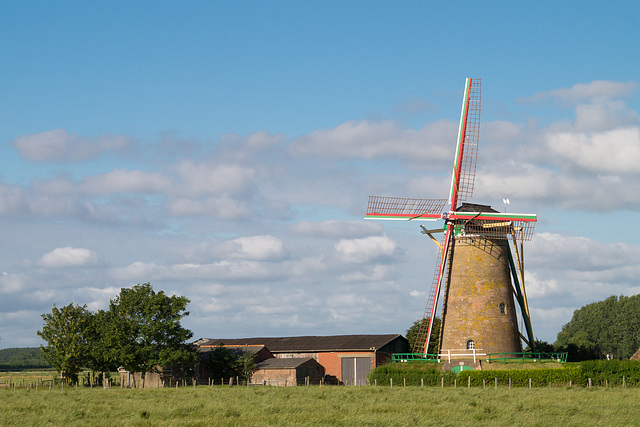Windmühle Zuidzande DSC06626
