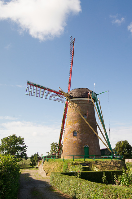 Windmühle Zuidzande DSC01413