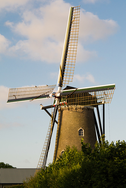Windmühle Nieuwvliet DSC06473