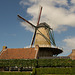 Windmühle in Sluis DSC06430