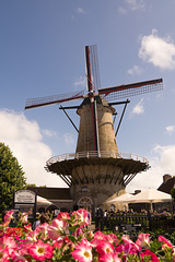 Windmühle in Sluis DSC06424